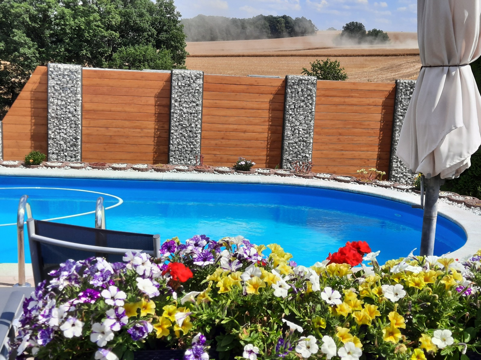 Gabionen mit WPC am Pool