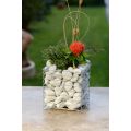 Design Gabionen Kubus 30cm