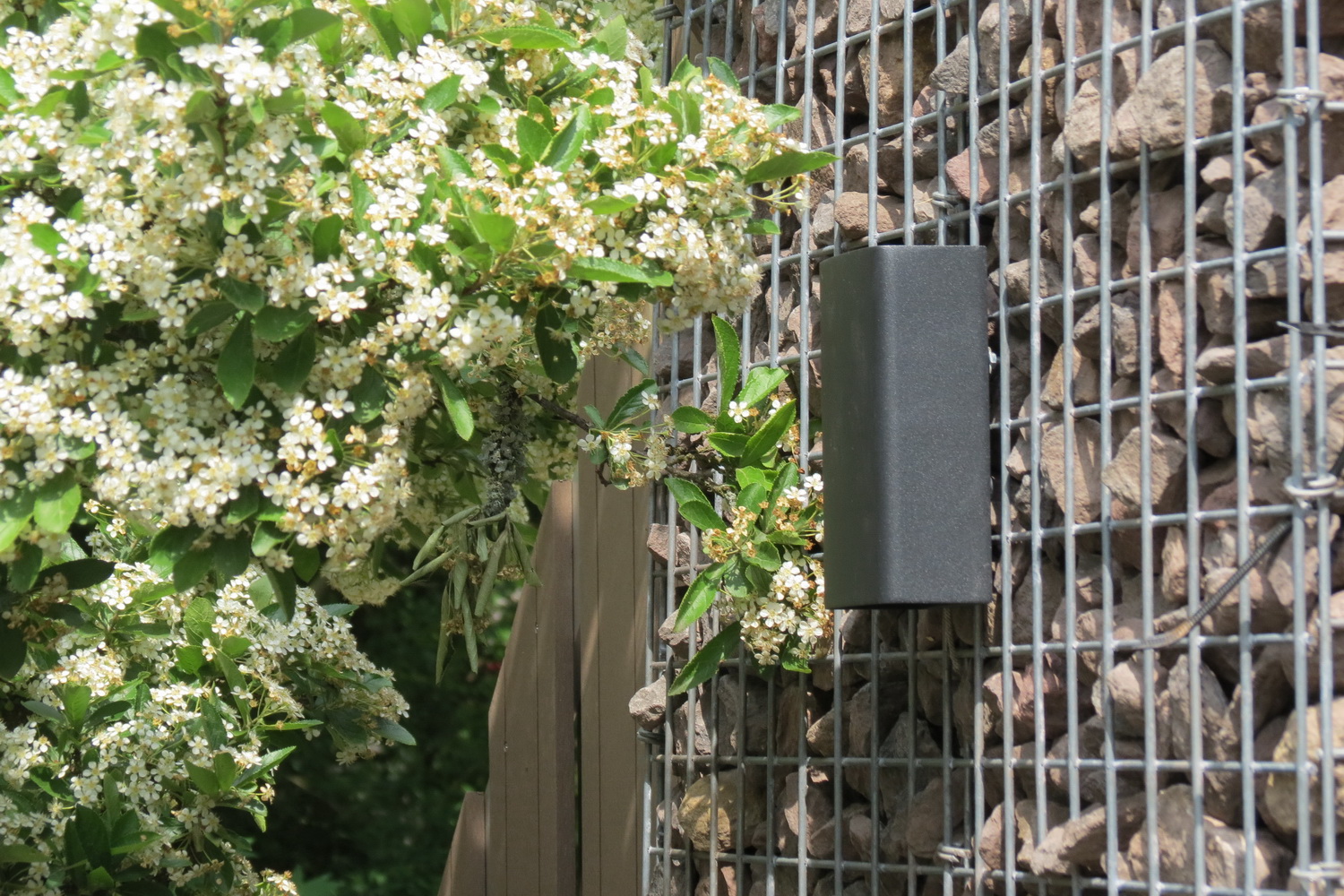 Gabionen LED Beleuchtung