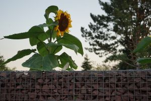 Gabione – Aufbauteam