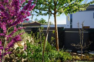 Gabionen und WPC – WPC-zaun mit Gabionen. Gabionen und WPC