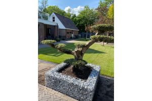 Gabionen Hochbeet – Gabionen Hochbeet