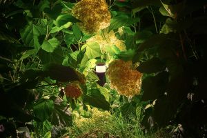 Inspirationsfoto mit LED-Beleuchtung – Gabionen LED beleuchtung