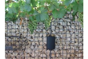 Inspirationsfoto mit LED-Beleuchtung – Gabionen LED beleuchtung