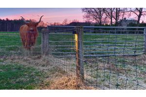 Inspirationsfoto mit LED-Beleuchtung – Gabionen LED beleuchtung