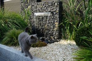 Gabionen Wasserfall – Wasserfall. Gabionen Wasserfall befüllt mit Basalt 56-75mm
