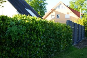 Aufbauteam Komposit – Aufbauteam WPC. Aufbauteam Komposit