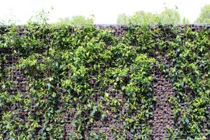 Gabione – Aufbauteam