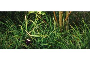 Inspirationsfoto mit LED-Beleuchtung – Gabionen LED beleuchtung