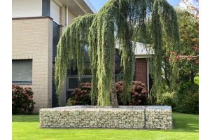 Gabionen Hochbeet mit Yellow Sun Bruchstein – Yellow Sun Bruchstein