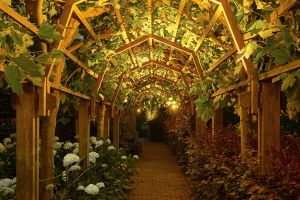 Inspirationsfoto mit LED-Beleuchtung – Gabionen LED beleuchtung