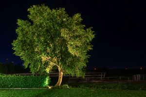 Inspirationsfoto mit LED-Beleuchtung – Gabionen LED beleuchtung